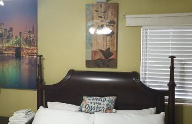 Beach Anchor Palm - Foto 15