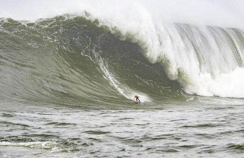 Cozy One-Bedroom Coastal Retreat - Walk to Beach - Foto 42