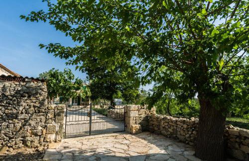 Villa Dvori Dida Mile - Foto 36