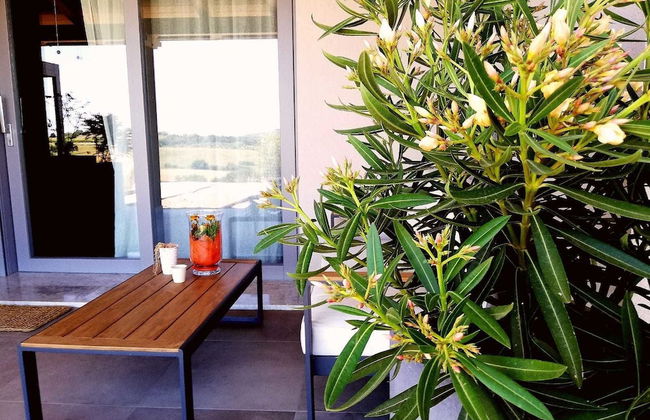 Agriturismo Le Piccole Macie - Photo 42