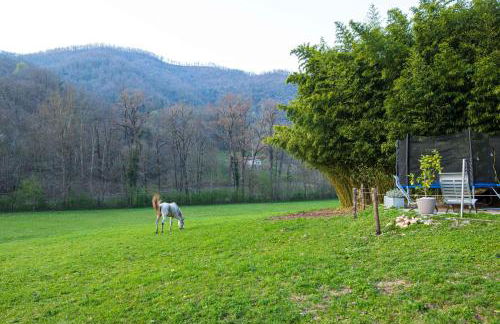 Cascina Canale - Foto 46