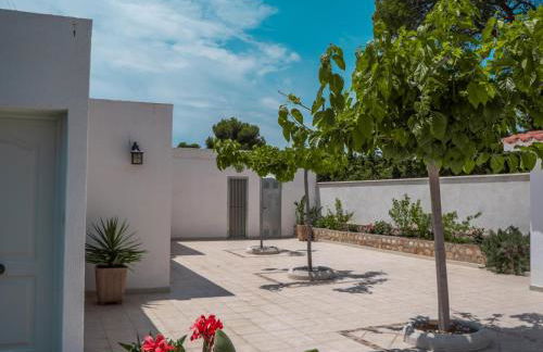 17 L Olivier - Foto 18