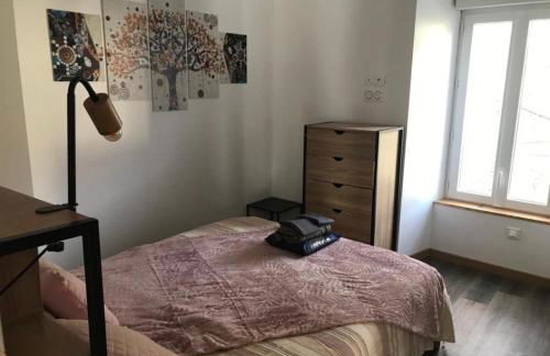 Sur les rochers du lac & location-rando en VTT - Foto 8