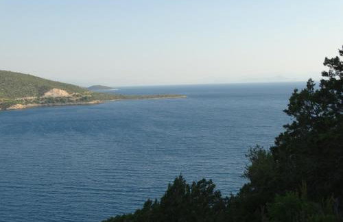 Manto Studios - Photo 79