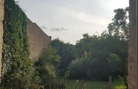 Landhaus Sinneswandel - Foto 22