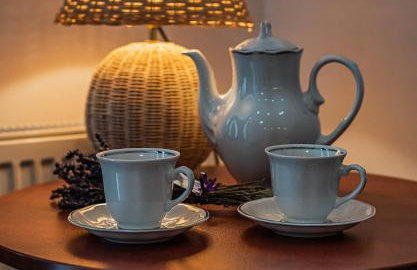 Willa Pienińska - Foto 59