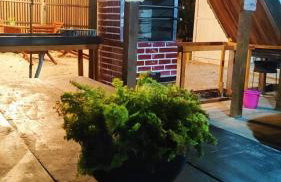 Casa de Praia Dunnas - Ajuruteua - Pa - Photo 22