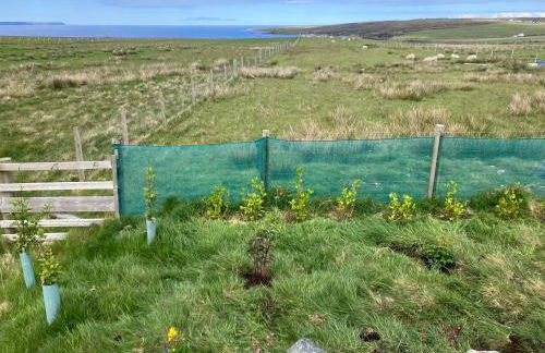 Seaview luxury pod - Photo 48