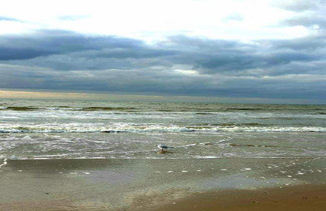 Holiday Home Egmond Near Beach - Foto 22