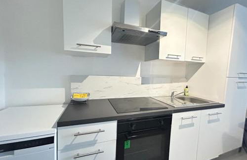 Le clos Champenois maison au cœur des vignes - Foto 17