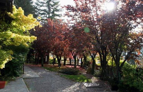 Residence Villa Linda - Foto 19