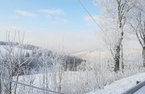 Haus Schneider - Photo 30