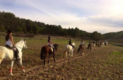 LA CASITA DEL CARRETERO - Foto 33