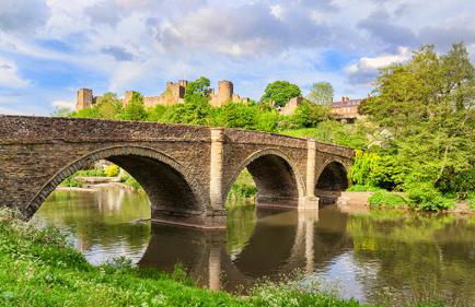 Ludlow Mews Town House with Free parking - Photo 25