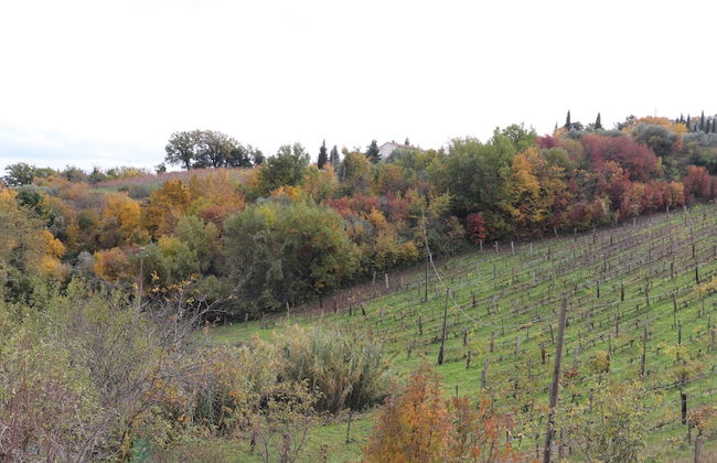 Agriturismo La casella - Foto 15