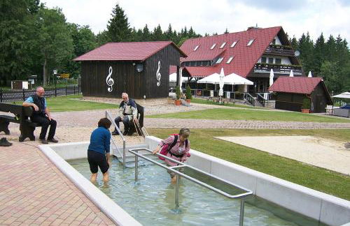 Berggasthof Heuberghaus, direkt am Rennsteig - Foto 21