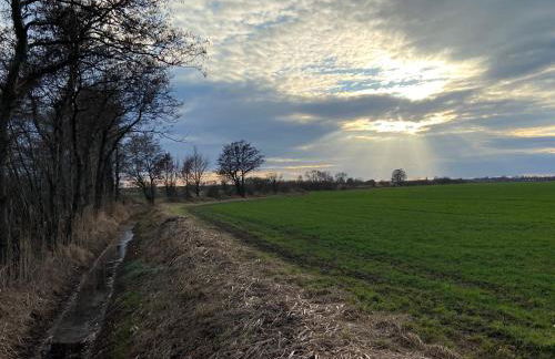 Schön möblierte Wohnung in Genthin/ OT Tucheim - Foto 19