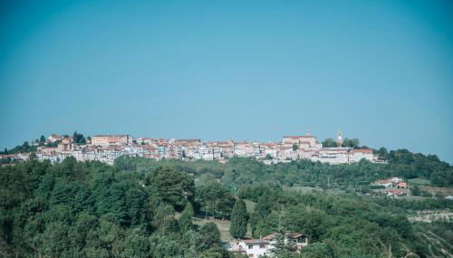 Cascina Bringin - Photo 5