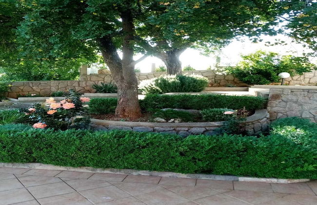 Apartments Paola - Foto 37