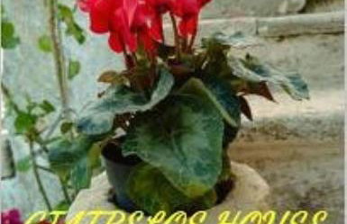 GIATRELOS HOUSE Holiday Home near Shipwreck Zakynthos - Foto 26