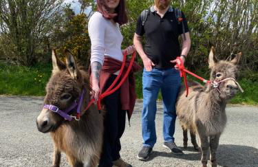 Unique Stay on an Alpaca Therapy Farm with Miniature Donkeys North Wales - Foto 18