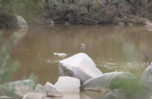 La casa de la encina - Foto 27