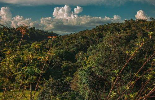 Chácara Alegria - Um pedaço do paraíso em Itaboraí - Foto 54