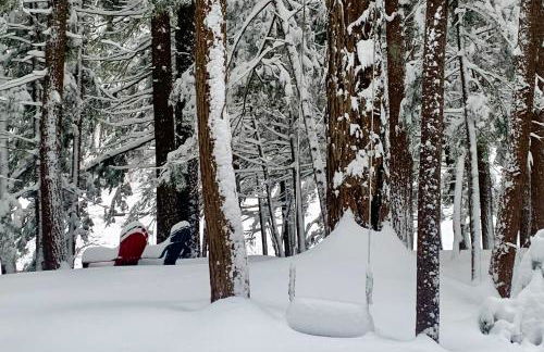 Secluded Sanctuary - Foto 38