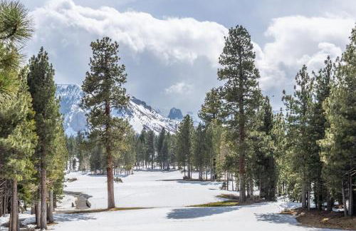 New Luxury 4BR /3BA Obsidian Reserve #110 – Hot Tub, 2-Car Garage, Pool Table, Mount Views! - Foto 52