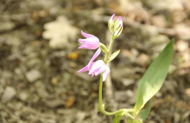 Friedrichs Ferienwohnungen - Foto 36