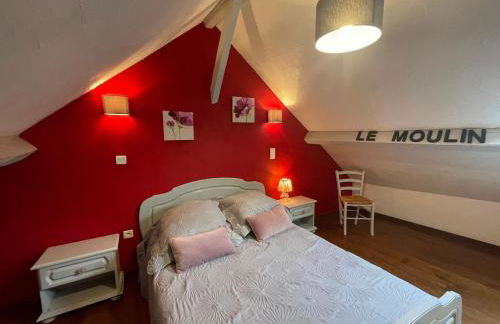 Le Moulin de Graunès - Photo 18