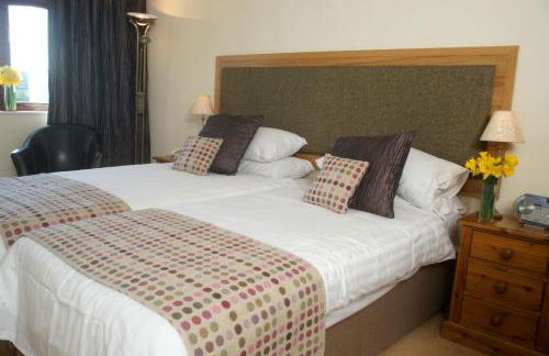 Wolfscastle Country Hotel - Foto 49