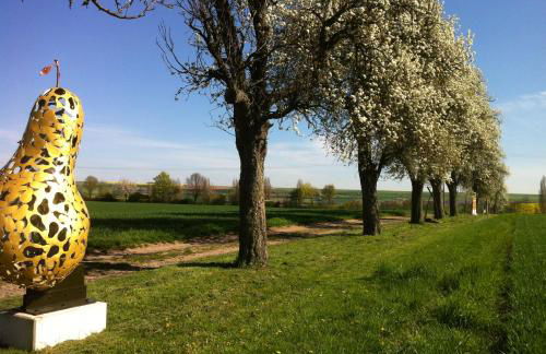 Ferienwohnungen Haus Sauer - Foto 6