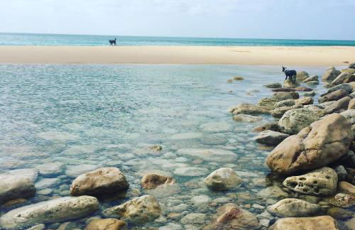 Casinhas da Figueira - Foto 46