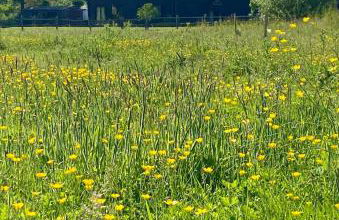 Countryside Barn Close to Kent Vineyards - Foto 36