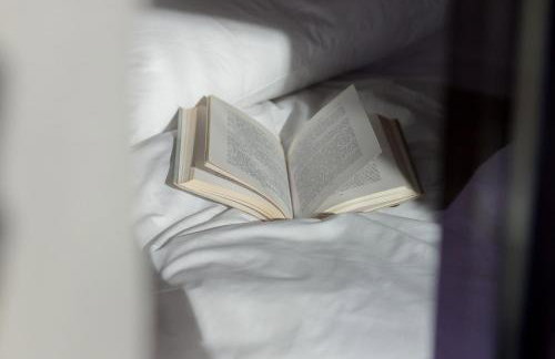 Raposa Verde - Agroturismo - Foto 51