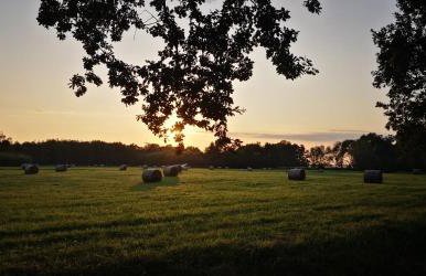 Na Chałupki - Foto 32