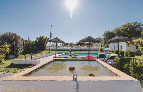 Monte dos Pintos - Foto 33