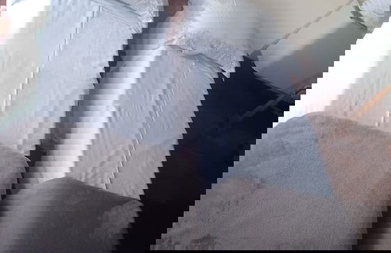 Apartamento Morro do Elefante - Photo 8