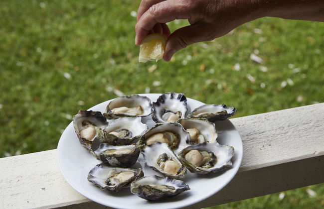 Mystery Bay Cottages - Foto 39