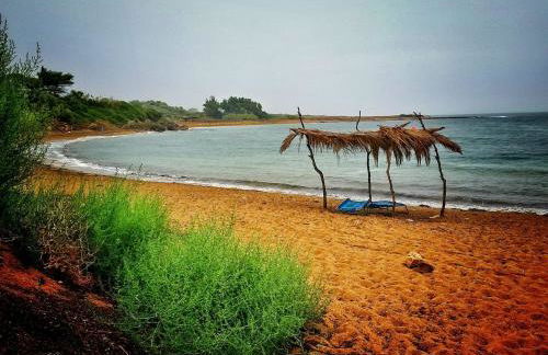 Dionisis Apartments - Photo 34