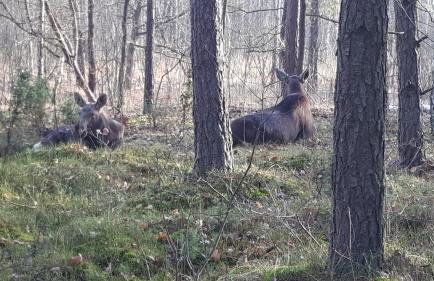 Wyskok 1 - dom z widokiem - Foto 41
