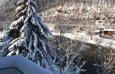 Apartment direkt an der Waldnaab - Foto 22