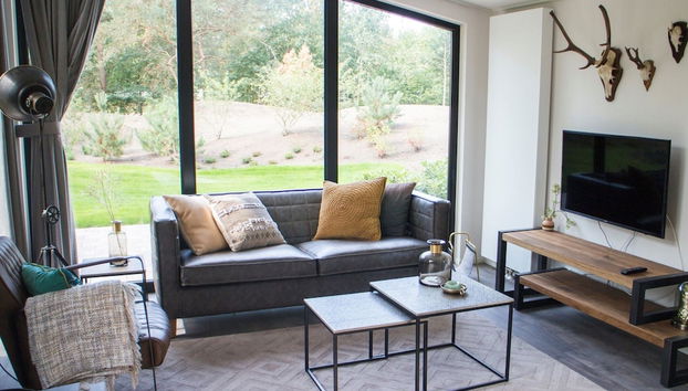 Modern Chalet Near De Veluwe National Park - Foto 5, Wohnzimmer