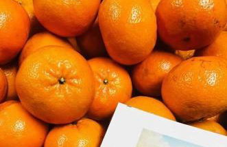 Beach Cottage - Foto 38