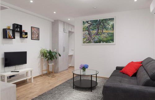 OLIVA 4 STARS - Photo 1