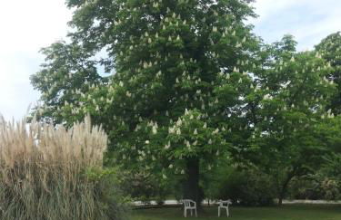 Agriturismo Al Navile - Foto 24