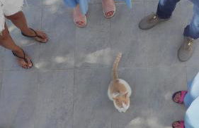 Seagull Apartments Bari Sea & Airport - Foto 69