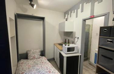 Ambert CentreVille La Studette tout confort - Foto 1