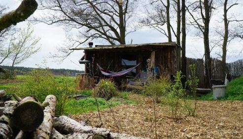 Auszeit inmitten der Natur - its a kind of magic - Foto 4